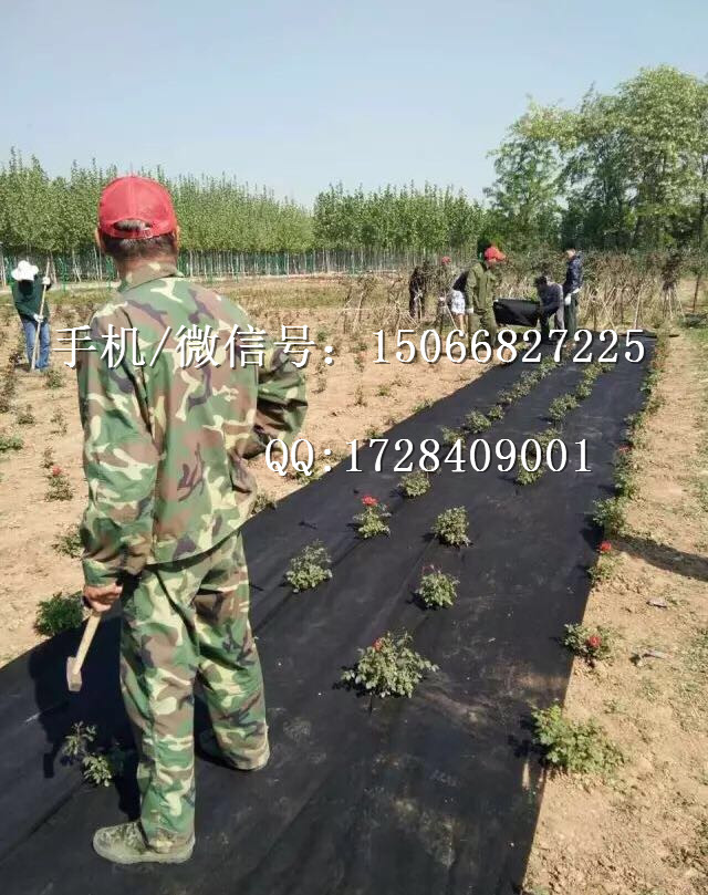 Agricultural Weed Control Weeding Nonwoven