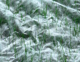 lawn sowing non-woven fabric